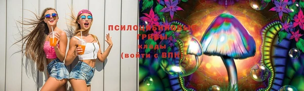 скорость Алексин