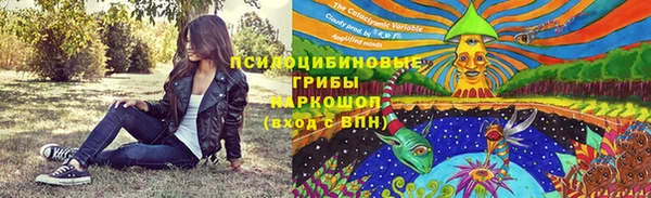 скорость Алексин