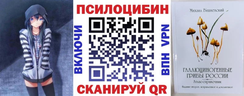 цены наркотик  Хадыженск  Псилоцибиновые грибы мухоморы 